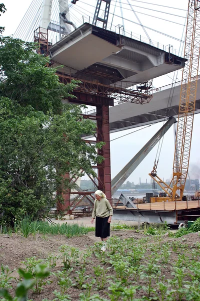 Elderling esamina impianto, morto a causa di ponte di costruzione . — Foto Stock