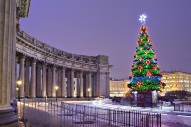 Renkli parlayan ışıkları Noel ağacı, çevre Kazan Katedrali, Saint-Petersburg, Rusya Federasyonu.