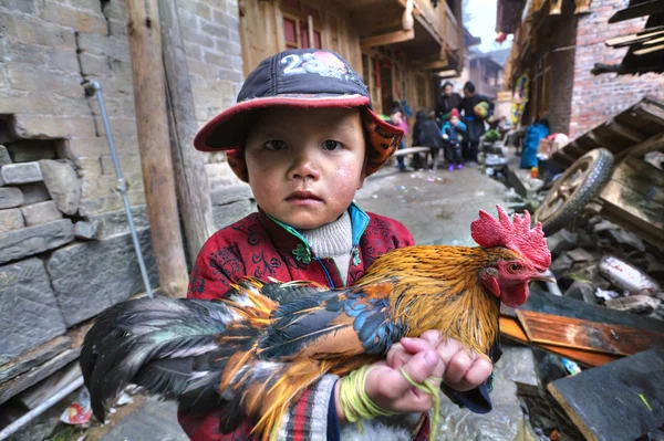 Cinese ragazzo contadino è holding gallo luminoso, multi-colore pittura . — Foto Stock