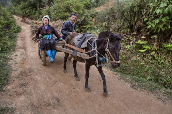 Agricultores chineses voltando do trabalho de campo no carrinho de cavalo . — Fotografia de Stock