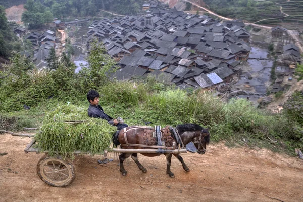 Carruagem a cavalo com feno e agricultores chineses . — Fotografia de Stock