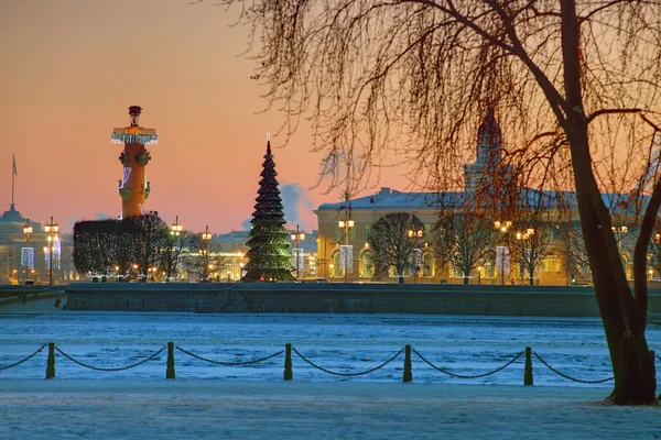 Saint-Petersburg, Federacja Rosyjska ozdoby świąteczne na Wyspie Wasiljewskiej, w pobliżu rostralnego kolumny. — Zdjęcie stockowe
