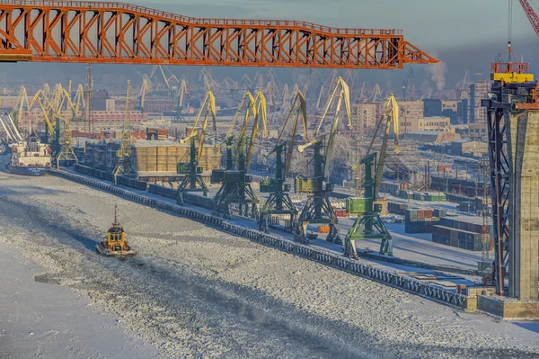 Vue de dessus du port maritime d'hiver de Saint-Pétersbourg, Russie . — Photo