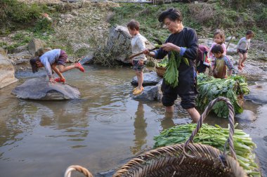 Asya marul, kırsal nehir, Guizhou, Çin'de diz boyu ayakta temizler.