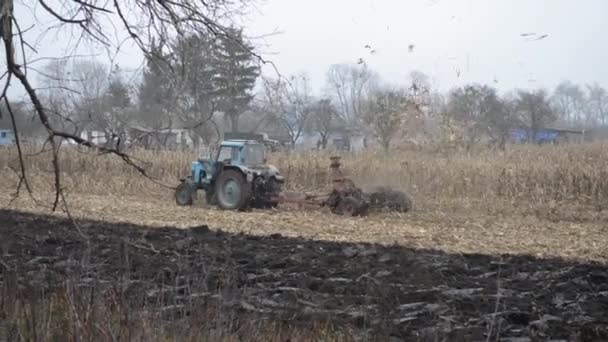农民在拖拉机上 — 图库视频影像