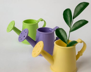 Çiçekleri sulamak için konserveler ve yeşil yapraklı bir dal. 