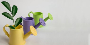 Çiçekleri sulamak için konserveler ve yeşil yapraklı bir dal. 