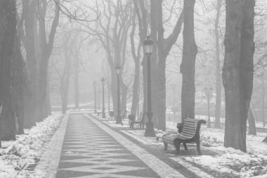 Siste bir şehir parkı manzarası