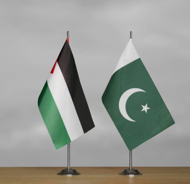 Filistin ve Pakistan 'ın bayrakları gri bir arka planda duruyor