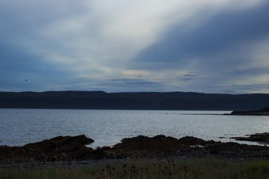 Sredny yarımadanın kapalı Barents Denizi'nin kıyısında görünümünü