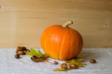 Yaprakları ve masanın üzerine meşe palamudu kabak