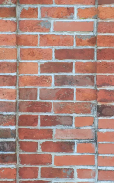 Mauer aus Ziegeln mit zwei Grenzen — Stockfoto