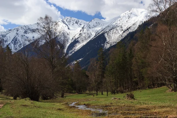 View of the mountains of Arkhyz Reserve — Stock Photo, Image