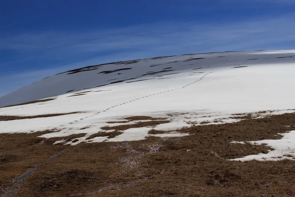 O caminho para o topo das trilhas na neve — Fotografia de Stock