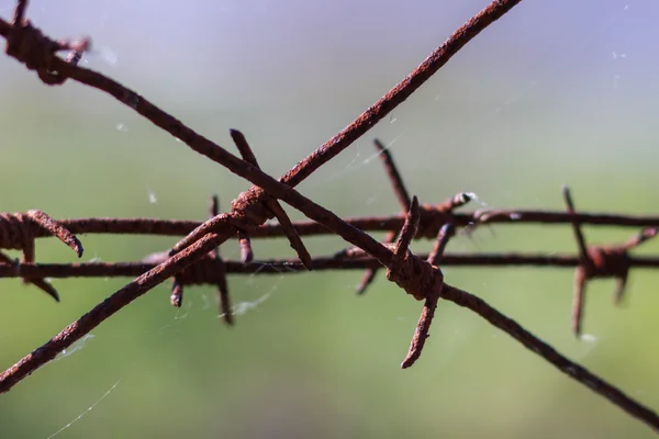 Rusty barbed wire — Stock Photo, Image