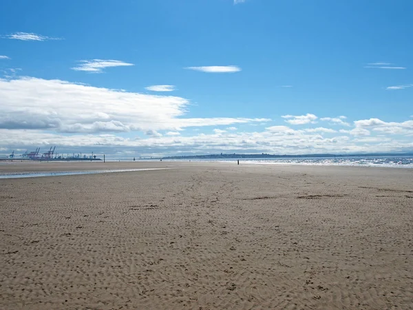 リバプールのドックと遠くに見える都市とサウスポートのマージーサイド近くのブランデル砂の犬とビーチ — ストック写真