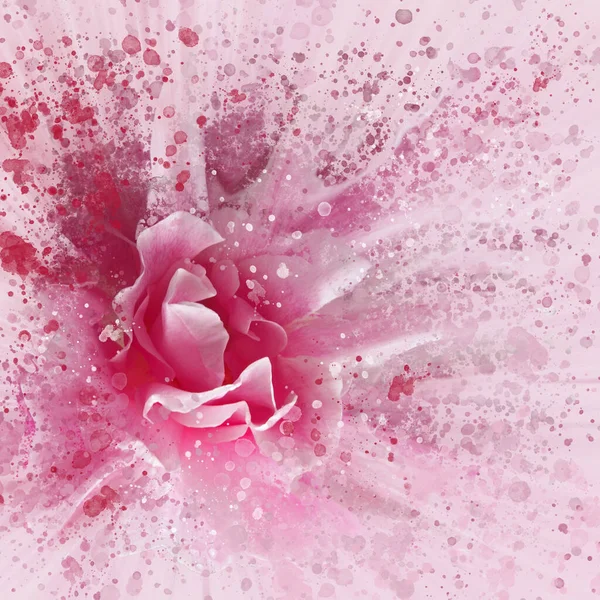 Drammatico Effetto Splash Singola Rosa Brillante Floreale Effetto Astratto Immagine — Foto Stock