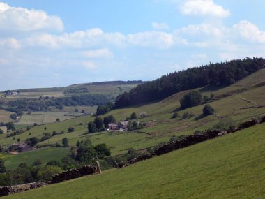 Batı Yorkshire 'da Mytholmroyd yakınlarında Calder Vadisi boyunca panoramik manzara. Yazın çam ağacı ve çiftlik evleri var.