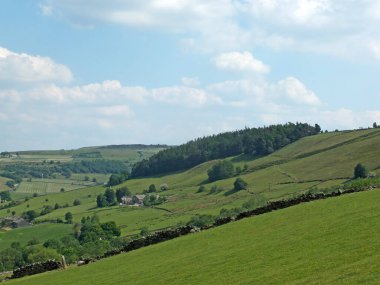 Batı Yorkshire 'da Mytholmroyd yakınlarında Calder Vadisi boyunca panoramik manzara. Yazın çam ağacı ve çiftlik evleri var.