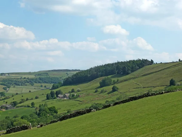 Panoramiczny Widok Dolinę Calder Pobliżu Mitolmroyd Zachodnim Yorkshire Plantacji Sosny — Zdjęcie stockowe