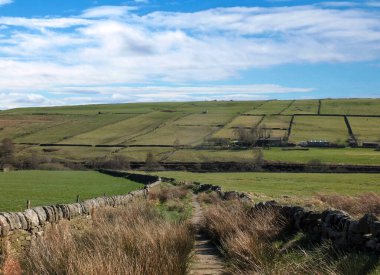 Pennine tepeleri ve tarım arazileriyle çevrili Calderdale 'deki Colden köyünün yakınındaki bir vadiye doğru uzanan dar bir patika.