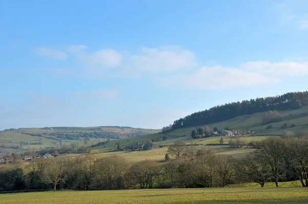 Batı Yorkshire 'da Mytholmroyd yakınlarındaki Calder Vadisi' nde bir manzara. Baharda çam ağacı fidanlığı ve çiftlik evleri var.