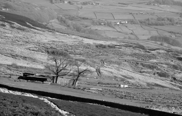 Monokrom Vacker Utsikt Över Midgley Heden Calderdale West Yorkshire Med — Stockfoto