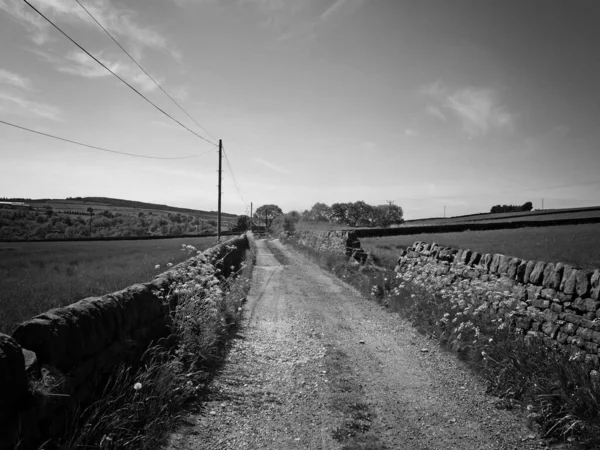 Batı Yorkshire Kırsalında Taştan Duvarlar Çiçeklerle Çevrili Uzun Dar Bir — Stok fotoğraf