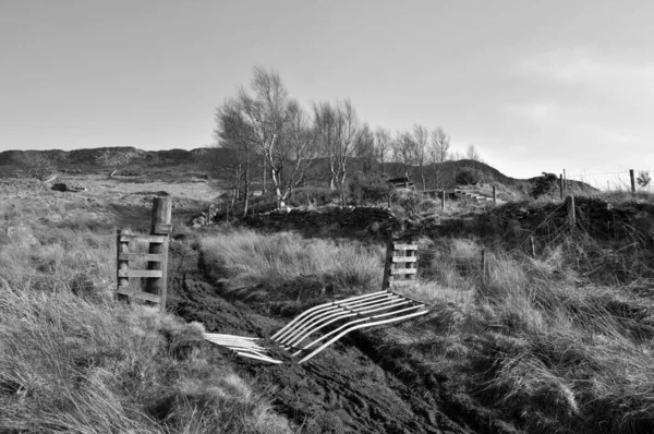 Monochromatický Pohled Vysokou Pennin Zemědělské Půdy Rozbitou Bránou Přes Cestu — Stock fotografie