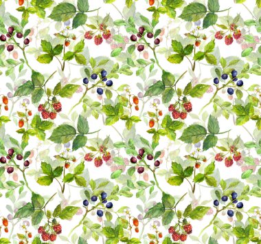 Yaz taze meyve. Çilek ile Seamless modeli. Suluboya