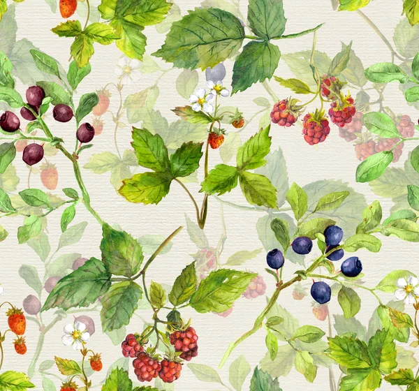 Dikişsiz desen yabani otlar ve meyveler ile yinelenen arka plan-