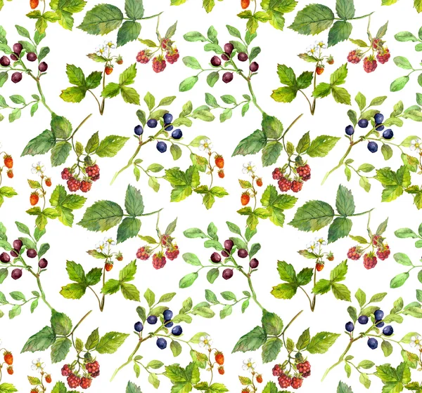 여름 배경-초원 열매와 허브 패턴 반복 — 스톡 사진