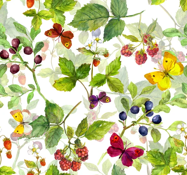 野菜、 蝴蝶和浆果。无缝草甸模式。水彩 — 图库照片