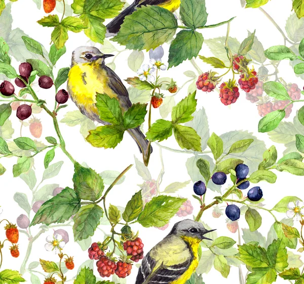 Nyári mező - ismétlődő minta, vad gyógynövények és a bogyók. Akvarell — Stock Fotó