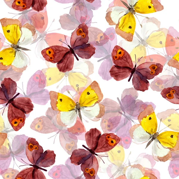 Seamless pattern with decorative hand painted drawing - colorful butterfly — Stock Photo, Image