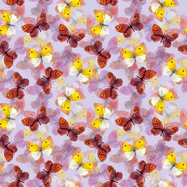 Seamless pattern with decorative hand painted drawing - colorful butterfly — Stock Photo, Image