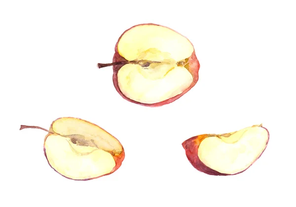 Acuarela rebanada de fruta de manzana pintada - mitad y quarte — Foto de Stock