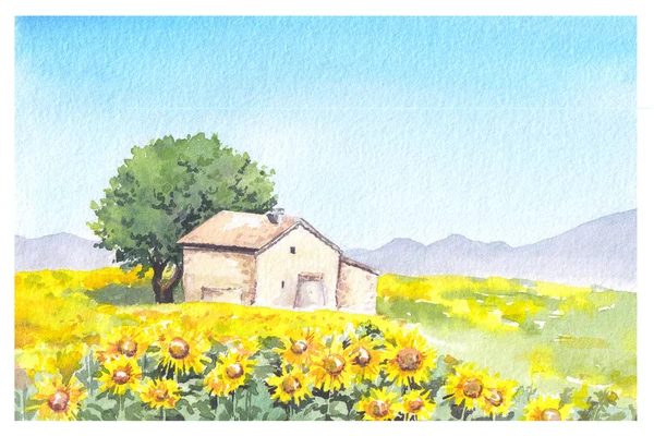 农村农场-普罗旺斯的房子和向日葵的领域。水彩 — 图库照片