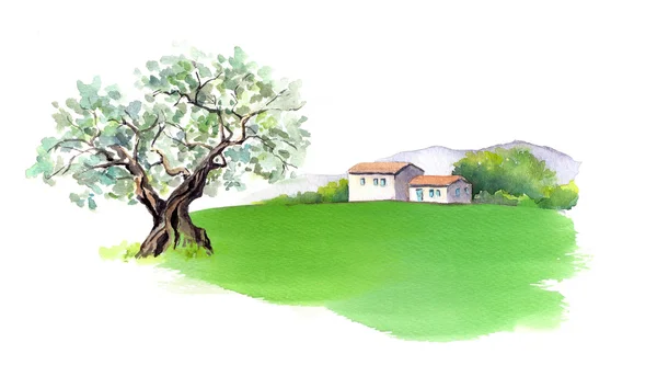 Ländliche provenzalische Haus in der Provence, Frankreich. Aquarell — Stockfoto