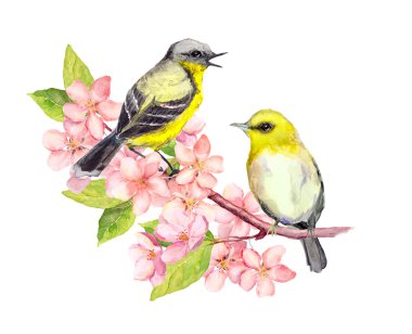 Çiçeği şube çiçekli kuşlarda. Suluboya