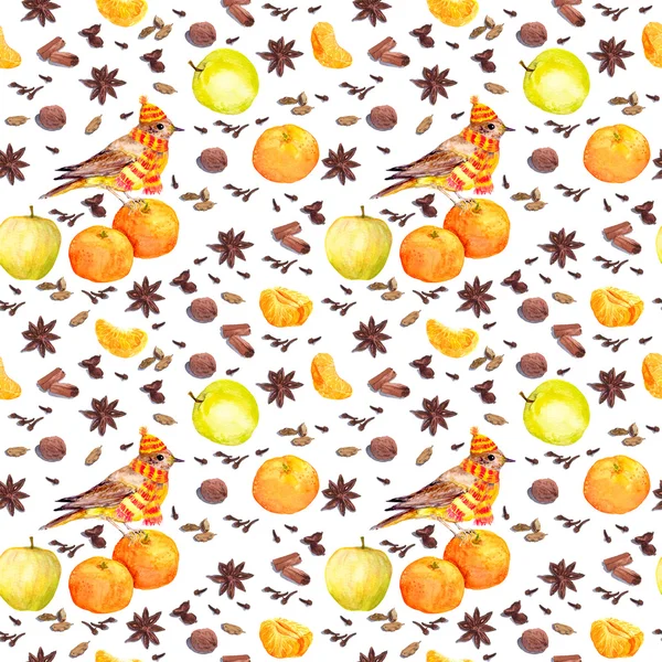 Акварельні зимові спеції та фрукти - яблуко, мандарин з птахом — стокове фото