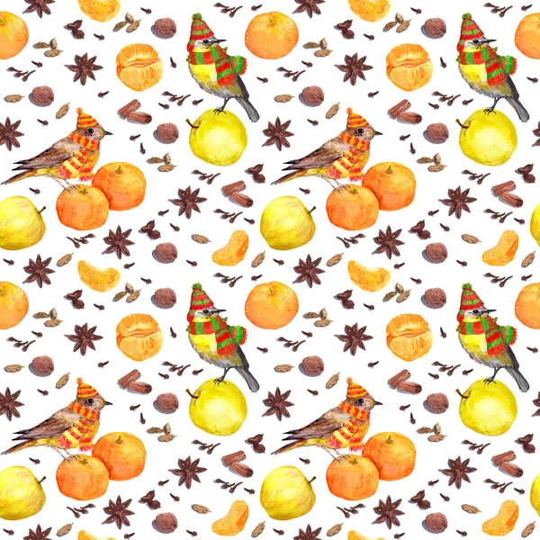 Acuarela especias de invierno y frutas - manzana, mandarina con pájaro — Foto de Stock