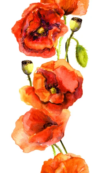 Cadre de bordure floral répété sans couture avec des fleurs de pavot en fleurs. Bande peinte aquarelle — Photo