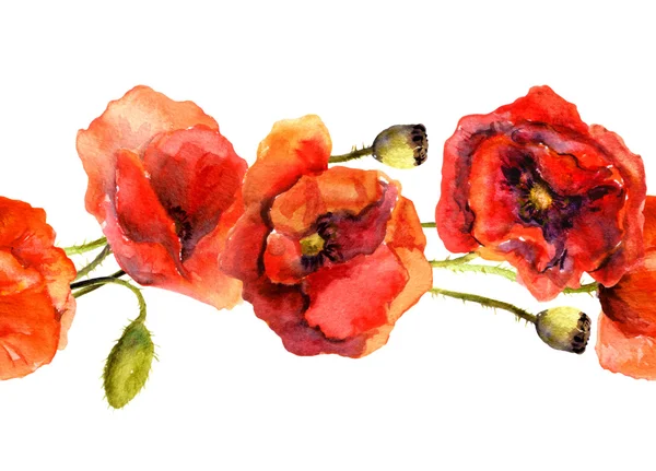 빨간 양 귀 비 꽃으로 완벽 한 꽃 국경 스트립입니다. 아트 그린 수채화 — 스톡 사진
