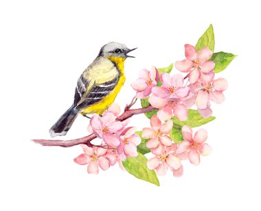 Çiçeği şube çiçeklerle kuş. Suluboya