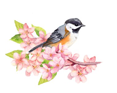 Çiçeği şube çiçeklerle kuş. Suluboya