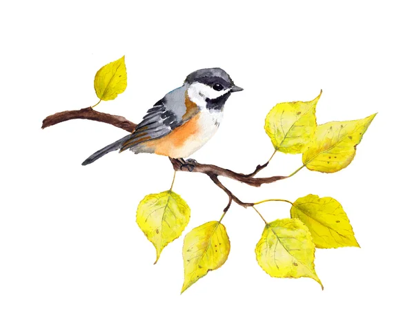 Vogel met gele bladeren tak. Aquarel voor herfst ontwerp — Stockfoto