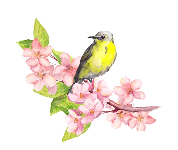 Vogel op bloesem tak met bloemen. Aquarel — Stockfoto