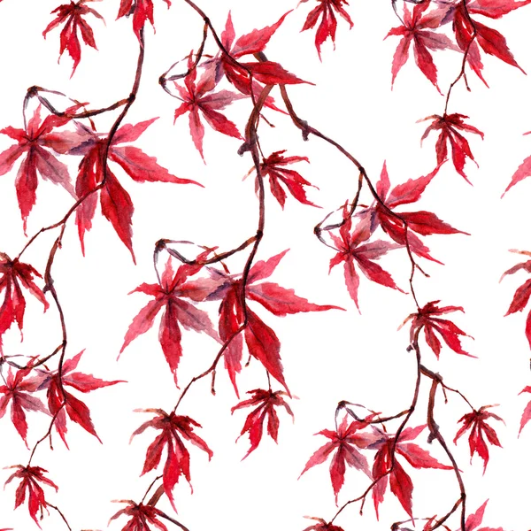 中国の赤いカエデを葉します。白い背景の上のシームレスなパターン。水彩 — ストック写真