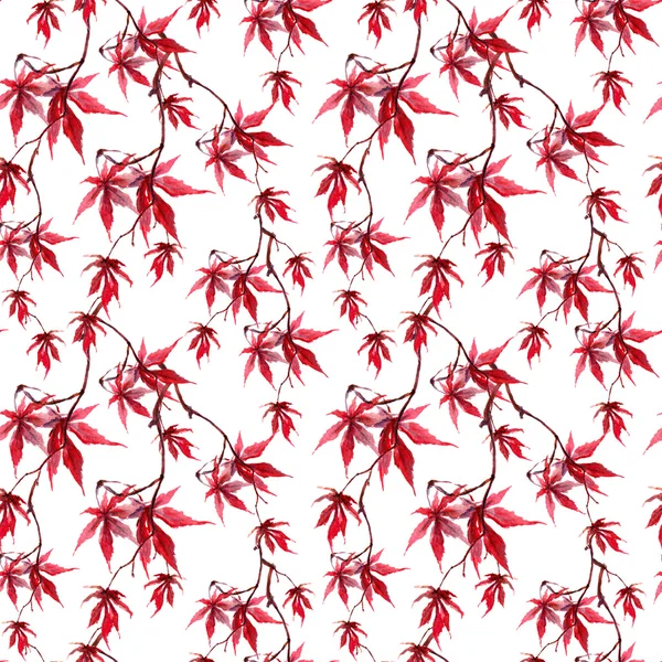 Japanese red maple leaves. Repeating pattern. Water color — Stock Photo, Image